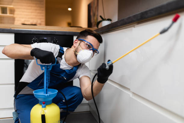 Best Affordable Pest Control Services  in Lompoc, CA