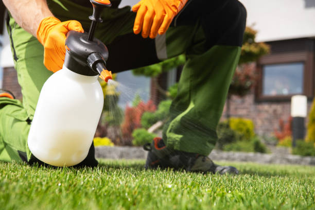 Best Pest Prevention Services  in Lompoc, CA