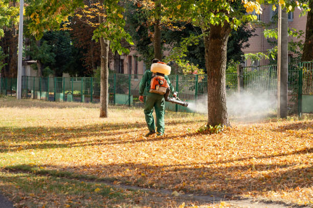 Best Pest Control Near Me  in Lompoc, CA