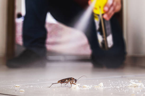 Best Exterminator Services  in Lompoc, CA