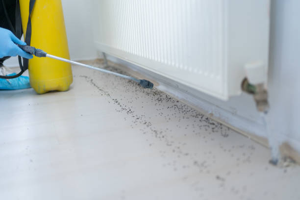  Lompoc, CA Pest Control Pros