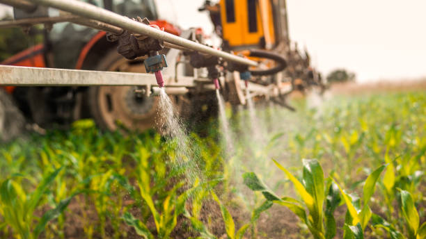 Best Pest Control for Homes  in Lompoc, CA